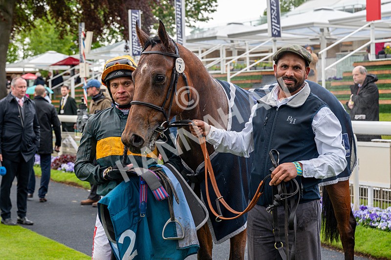 130526-Race 1-Cut A Dash-9712 - Race 1 1.45pm British Stallion Studs EBF Novice Stakes