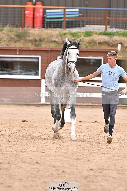 250716-152903-01958 - Trot Up 2.30 to 3.30
