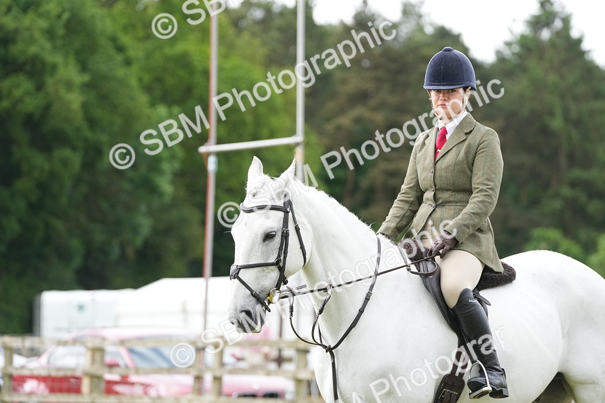 SBM_12775 - Class 97-98 - LIHS BSHA Rising Star Working Show Horse Hunter