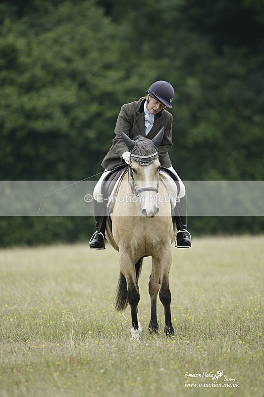 BVRC 030721 491 - Bourne Valley Riding Club Dressage 03/07/21