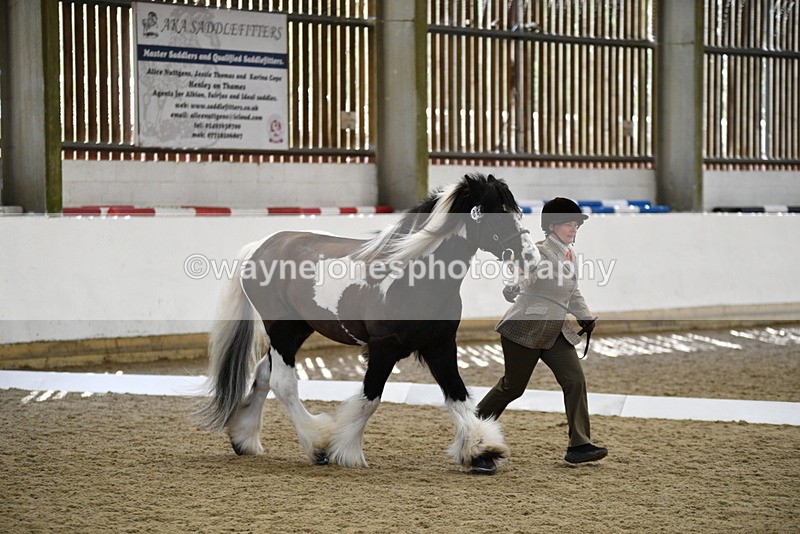 WJ5_5029 - Class 7 In hand coloured / odd coloured