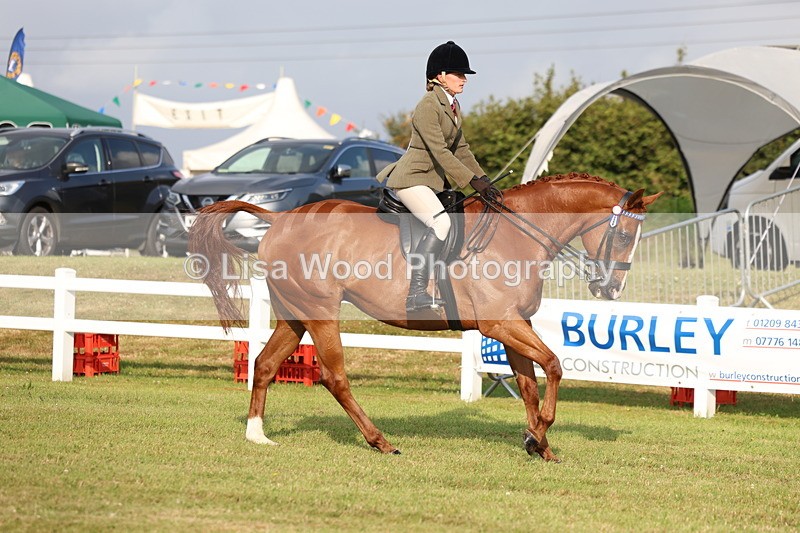 3E7A7689 - Class 1: Rising Star Small Hack/Riding Horses