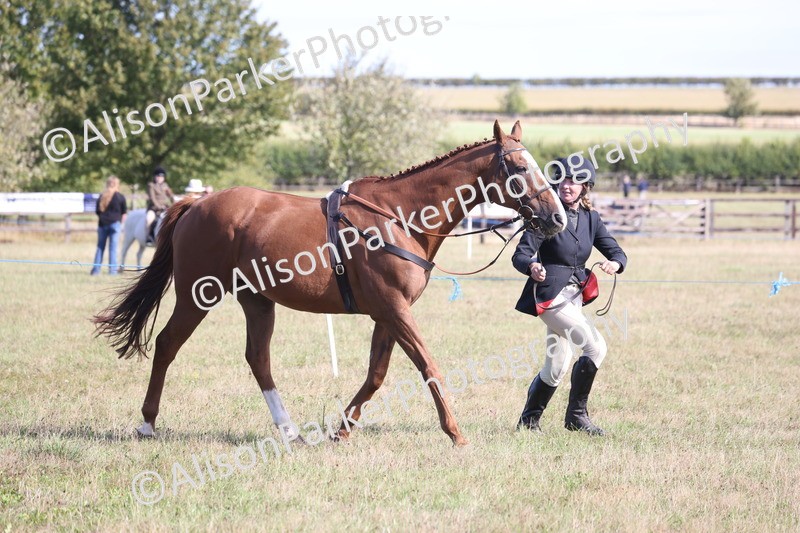 20260906-0747 - Class 22 - Ex Racehorse