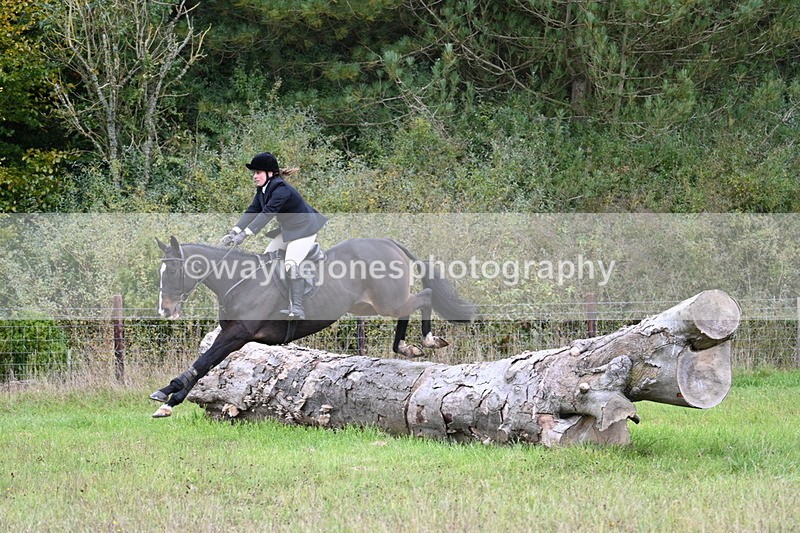 WJ7_3660 - Camera 1 Line 1