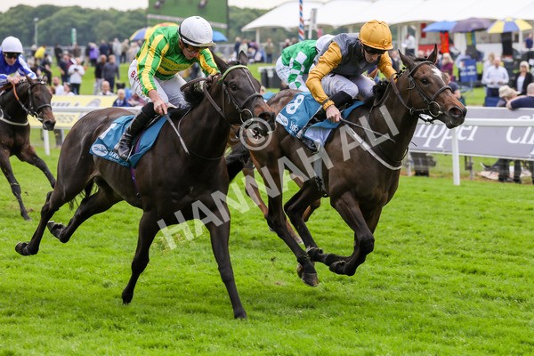 150524-Race 6-Shadow Army-1586 - Race 6 4.45pm British Stallion Studs EBF Novice Stakes