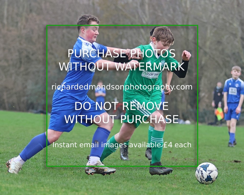 533A6494 - Lonsdale Terriers