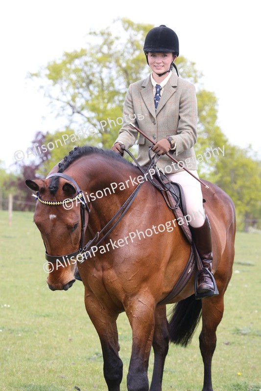 20260426-4383 - Class 34 - Best Riding Horse Over 14.2hh
