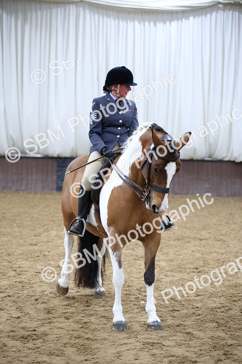 5K7A6102 - Class 48 - Ridden Mare