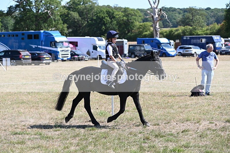 WJ6_8379 - Class 37a Best Loan Pony Ridden