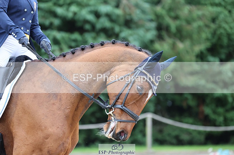 241024-155916-04967 - 237-Therese.Viklund-IMPERIAL.PLAN