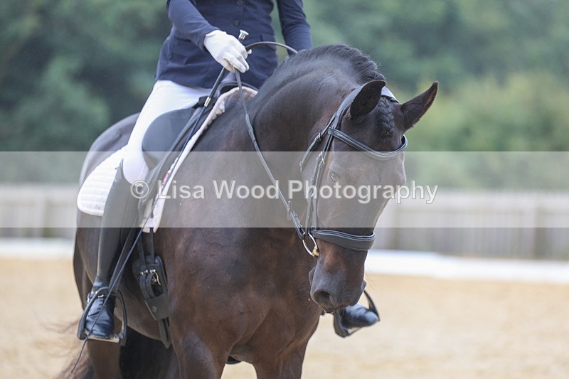 3E7A6559 - Class 4: Prelim 4 2024 - Section B