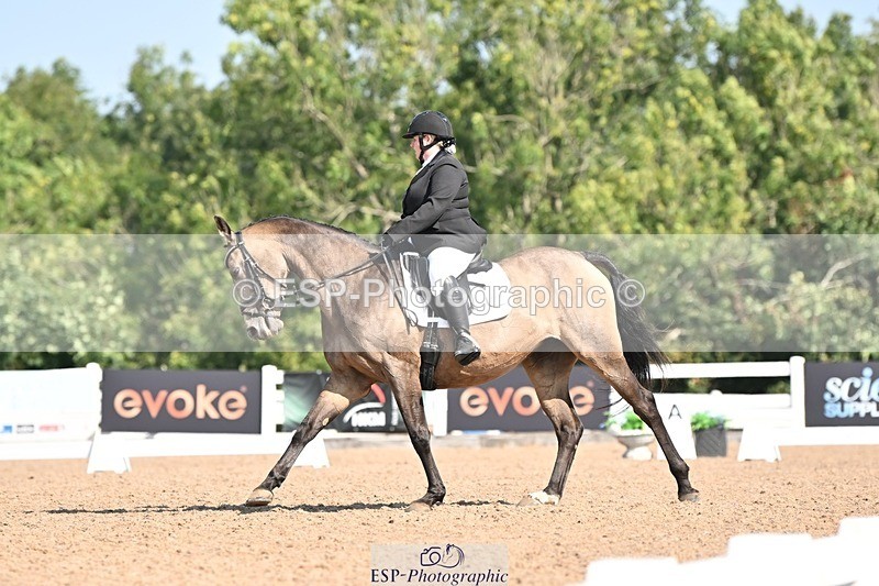 250816-105354-03230 - 093-Jocelyn.GilmoreSpring.lily