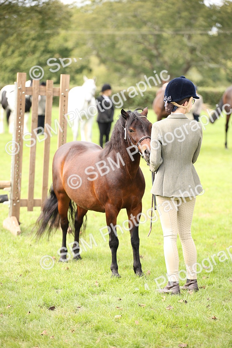 SBM_44514 - S24 - Young Veteran in hand