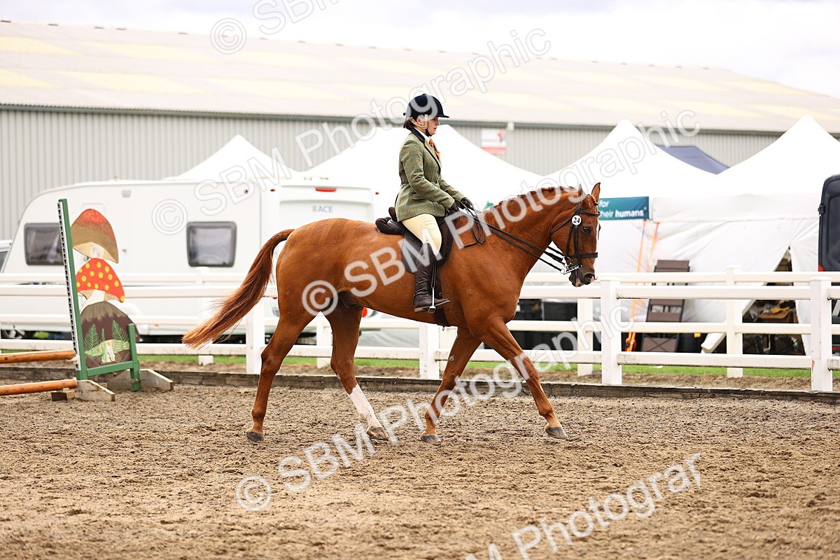 SBM_00529 - Class 53 - Ridden Competition Horse Pony