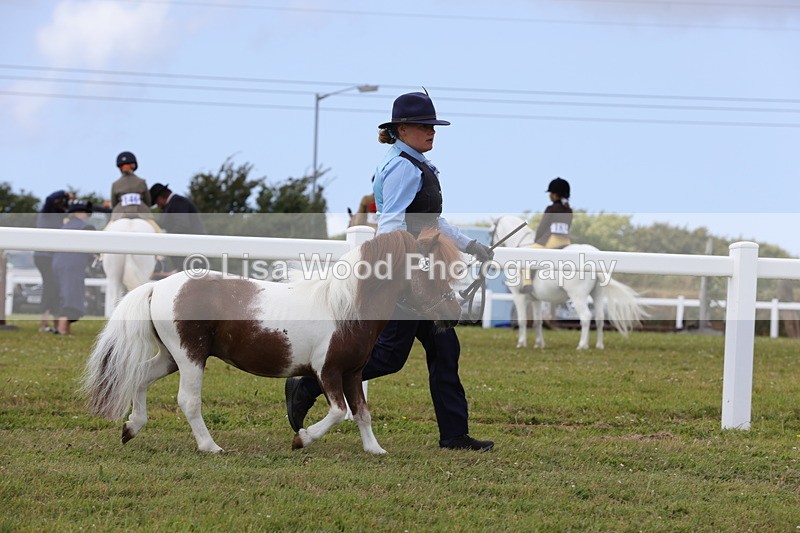1X9A4753 - Class 35: Veteran In Hand