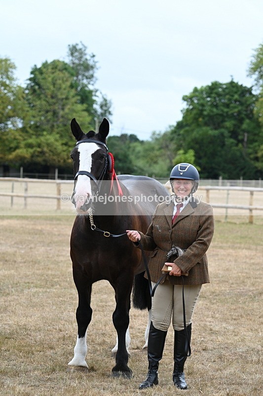 WJ7_0231 - Gelding Champs