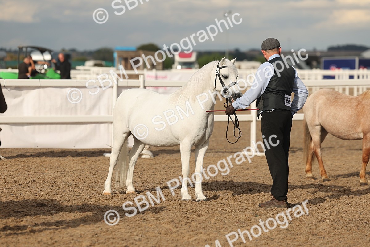 SBM_08578 - Class 29 - IH Veteran Pony
