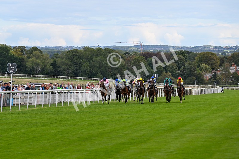 160926-Race 1-Austrian Theory-9097 - Race 1 2.08pm Season Finale Is Next Tuesday Selling Handicap