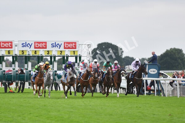 yr24072021r5-41 - Race 5 4.25pm Sky Bet Best Odds Guaranteed Stakes