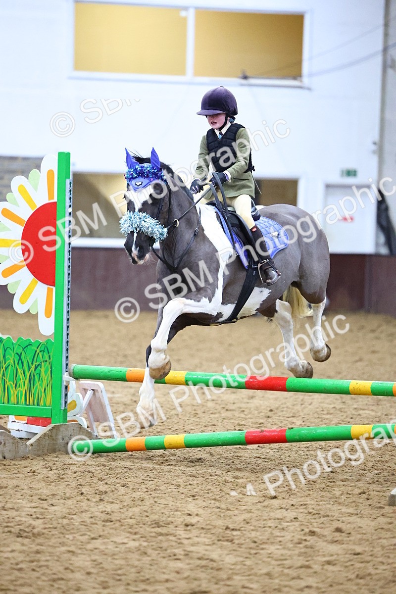 SBM_001251 - Class 3 - Christmas Tree Stakes - 60cm