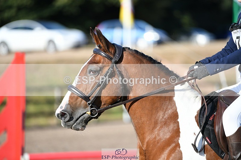 250822A-083025-18485 - NAF Round 1 Start to 9.10