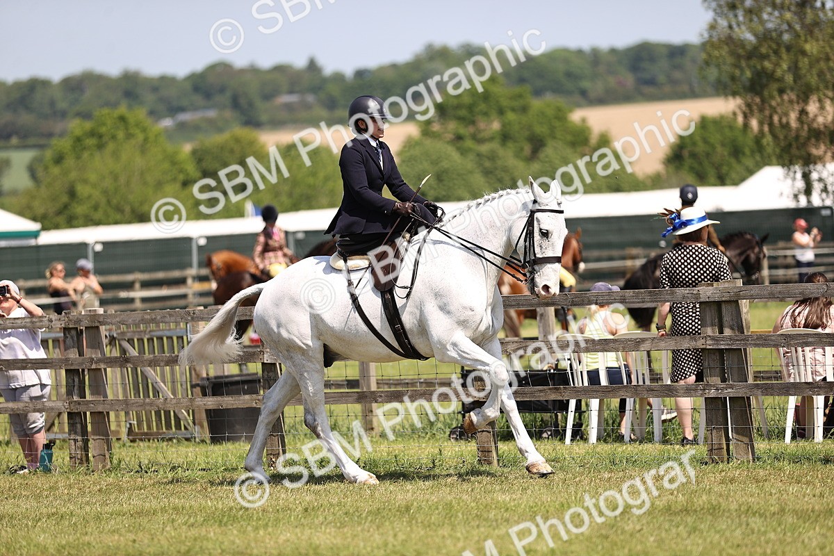 SBM_15048 - Class 79-80 - LIHS BSHA Rising Star Ridden Hunter