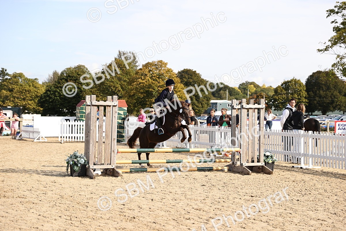 SBM_61978 - J12 - Junior Pony 55cm Championship