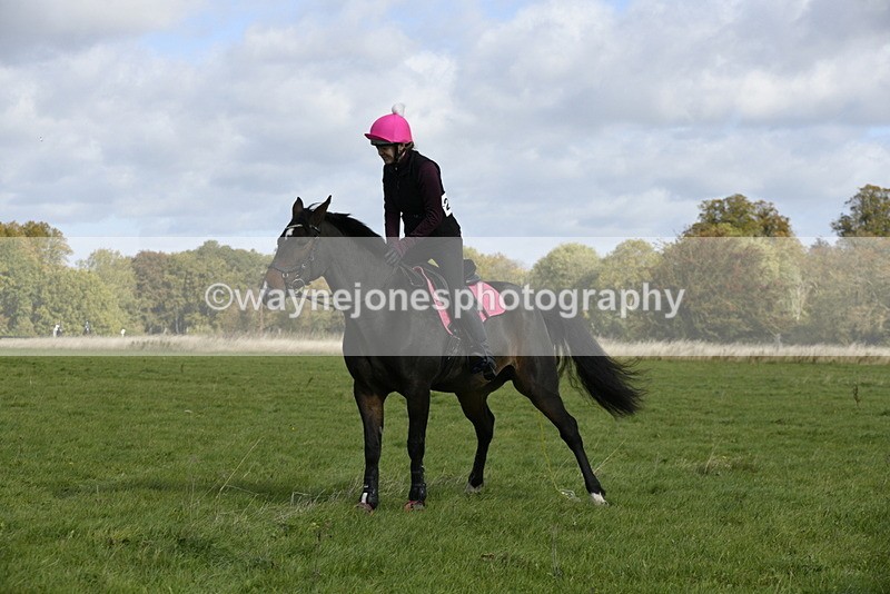 _DSC6895 - Time 11:23 to 12:05