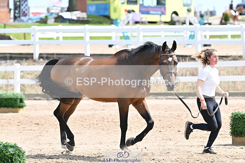 240717A-150056-02442 - Trot Up 3pm to 4pm