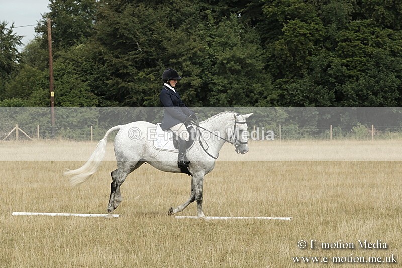 _PJP5653 - Dressage Classes BVRC Show 2018