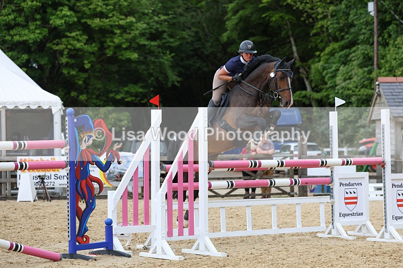 3E7A7906 - Class 8: Senior Foxhunter/1.20 open