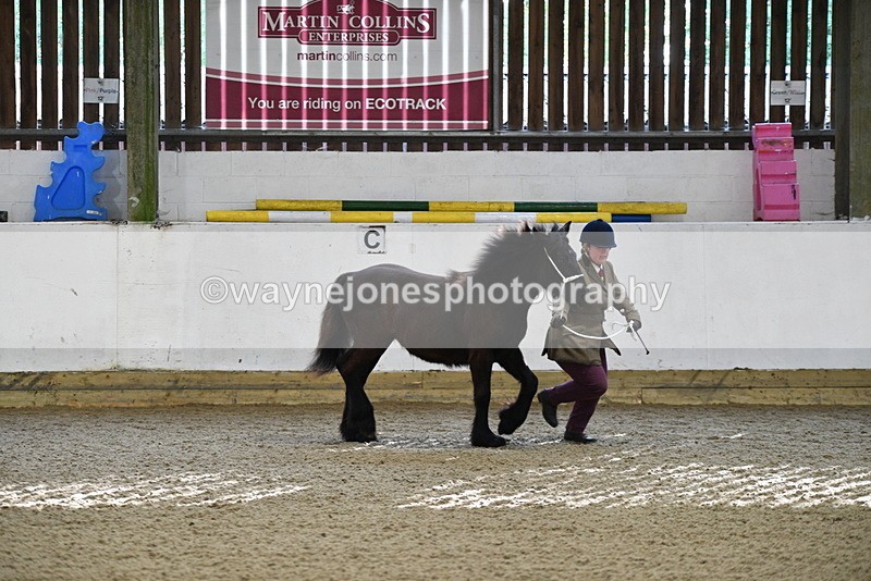 WJ5_3514 - Class 1 Youngstock