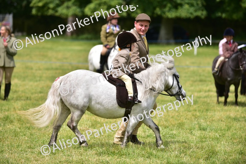 20260614-3651 - Class 15 - Prettiest Mare