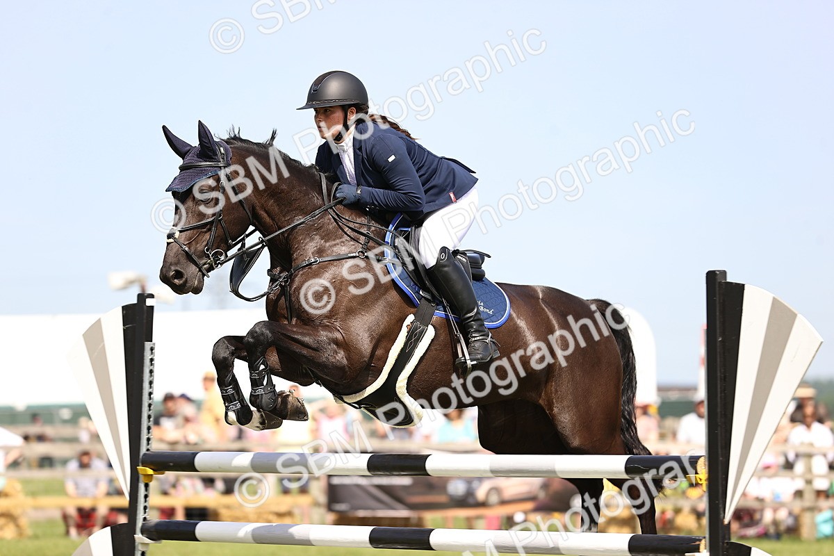 SBM_03078 - Class 201 - British Horse Feedds Speedi Beet HOYS Grade C