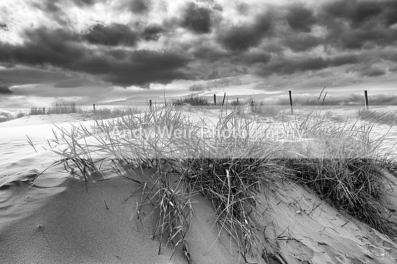 20141003-3K8A6368-3105 - England