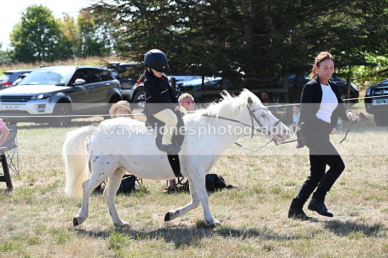 WJ6_7859 - Class 36 Lead Rein