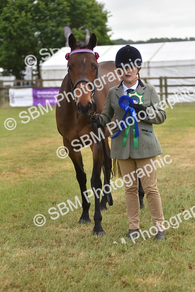 SBM_10675 - Class 109 - Retraining of Racehorses in Hand