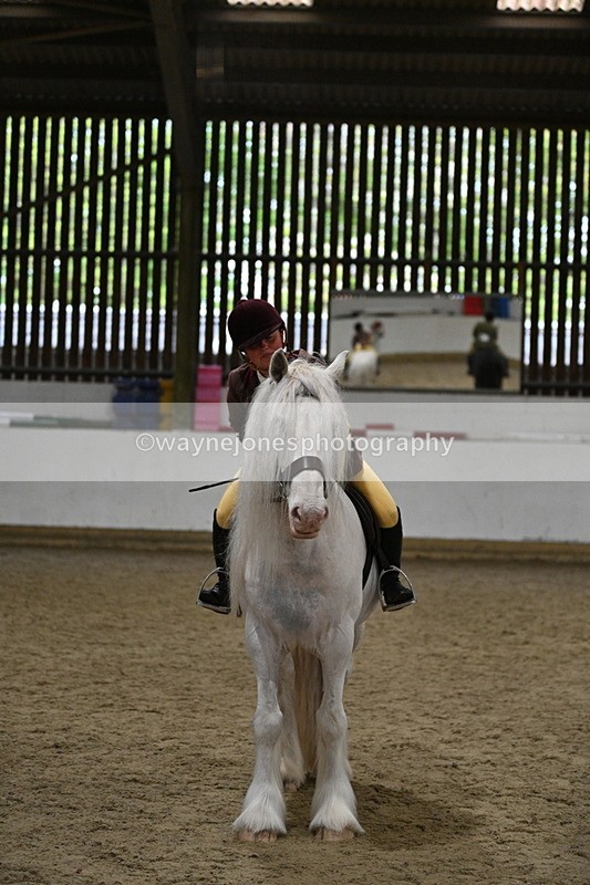 WJ7_4366 - Class 17 Ridden Cob