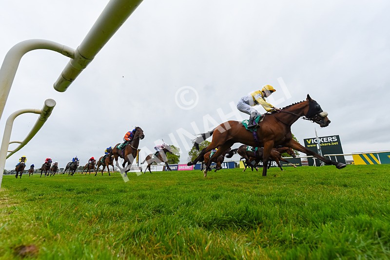 040524-Race 2-Wobwobwob-8652 - Race 2