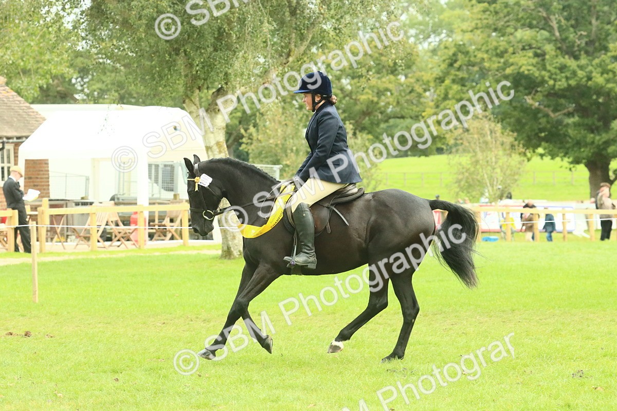 SBM_75043 - Ridden Pony Supreme Championship
