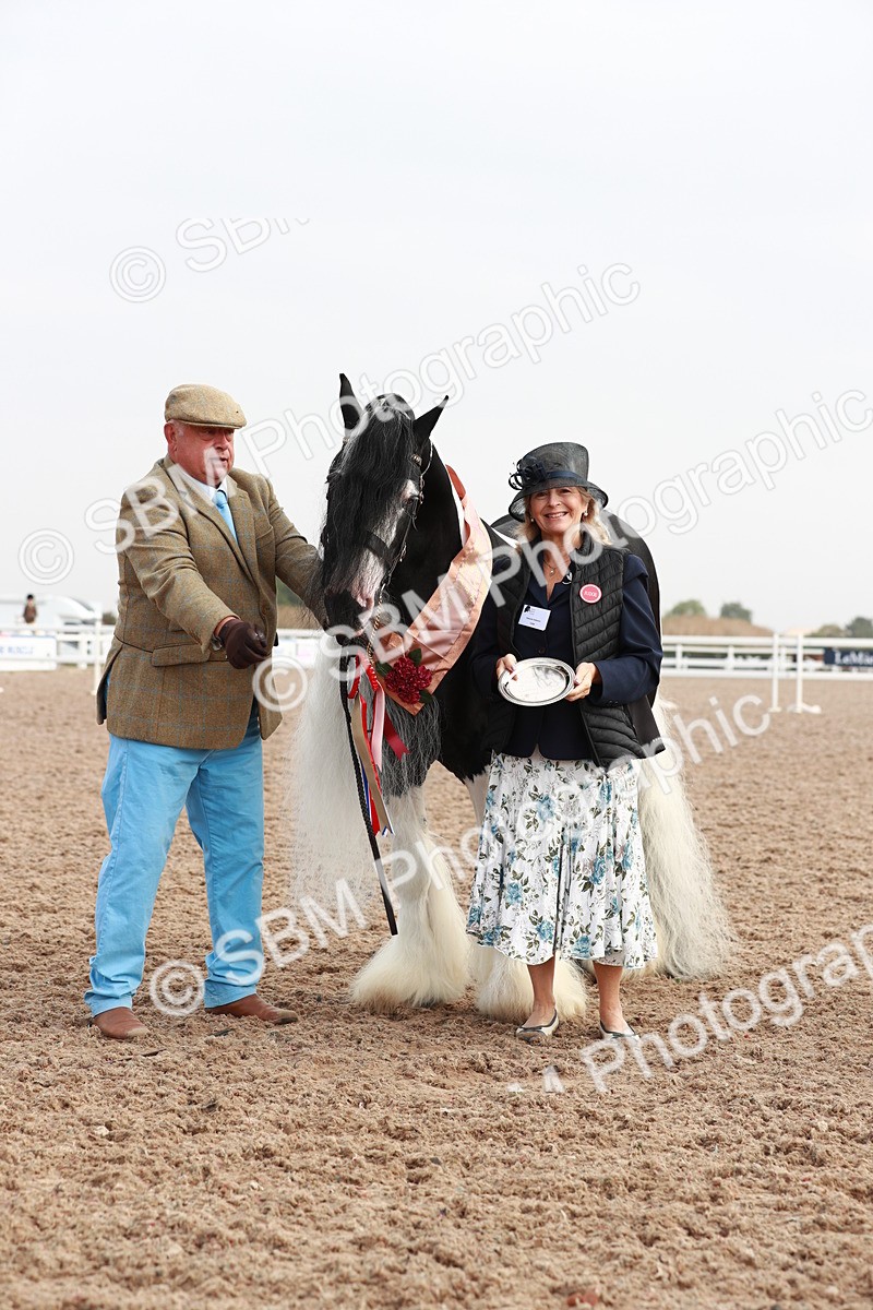 SBM_09565 - Class 201 Best Turned Out IH