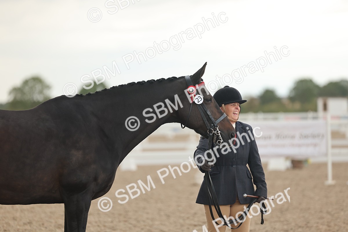SBM_07676 - Class 26 - IH Foreign Breeds - Part Bred