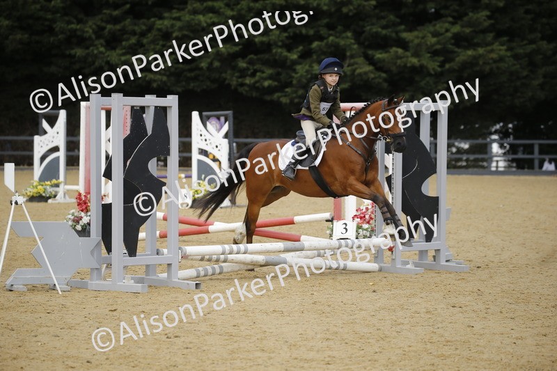 20250622-1582 - 40cm