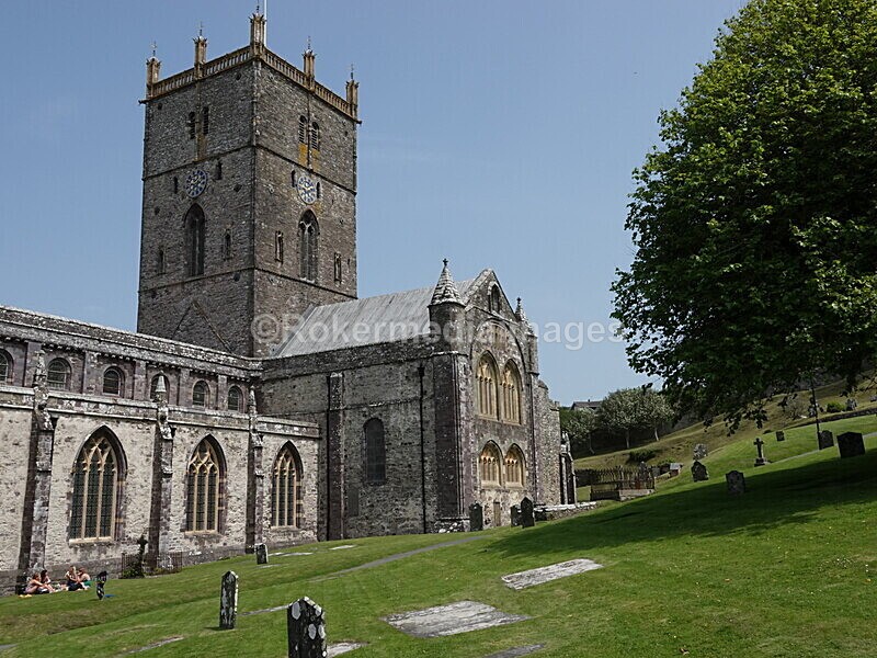 DSC00449 - Skomer 2019
