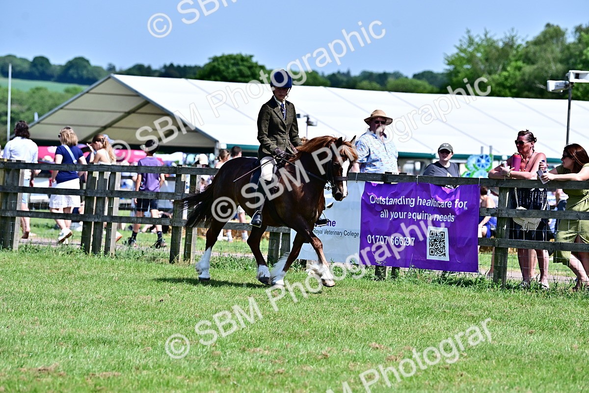 SBM_07951 - Class 61-62 - TSR  M&M Ridden Amateur of the Year