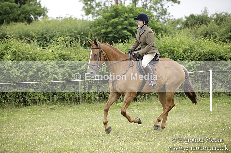 BVR160717-827 - Ring 1 BVRC Show 16/07/17