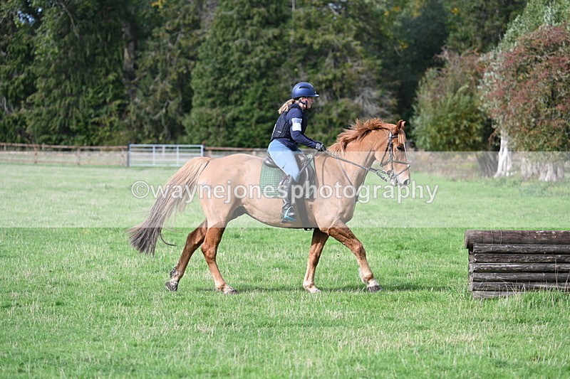 WJ7_0334 - Time 13:55 to 14:26