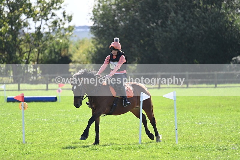 WJ7_1273 - Time 13:56 to 14:24