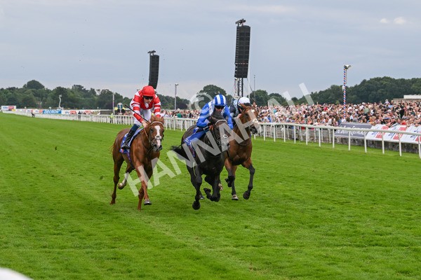 270724-Race 1-Alflaila-7005 - Race 3 3.15pm Sky Bet York Stakes