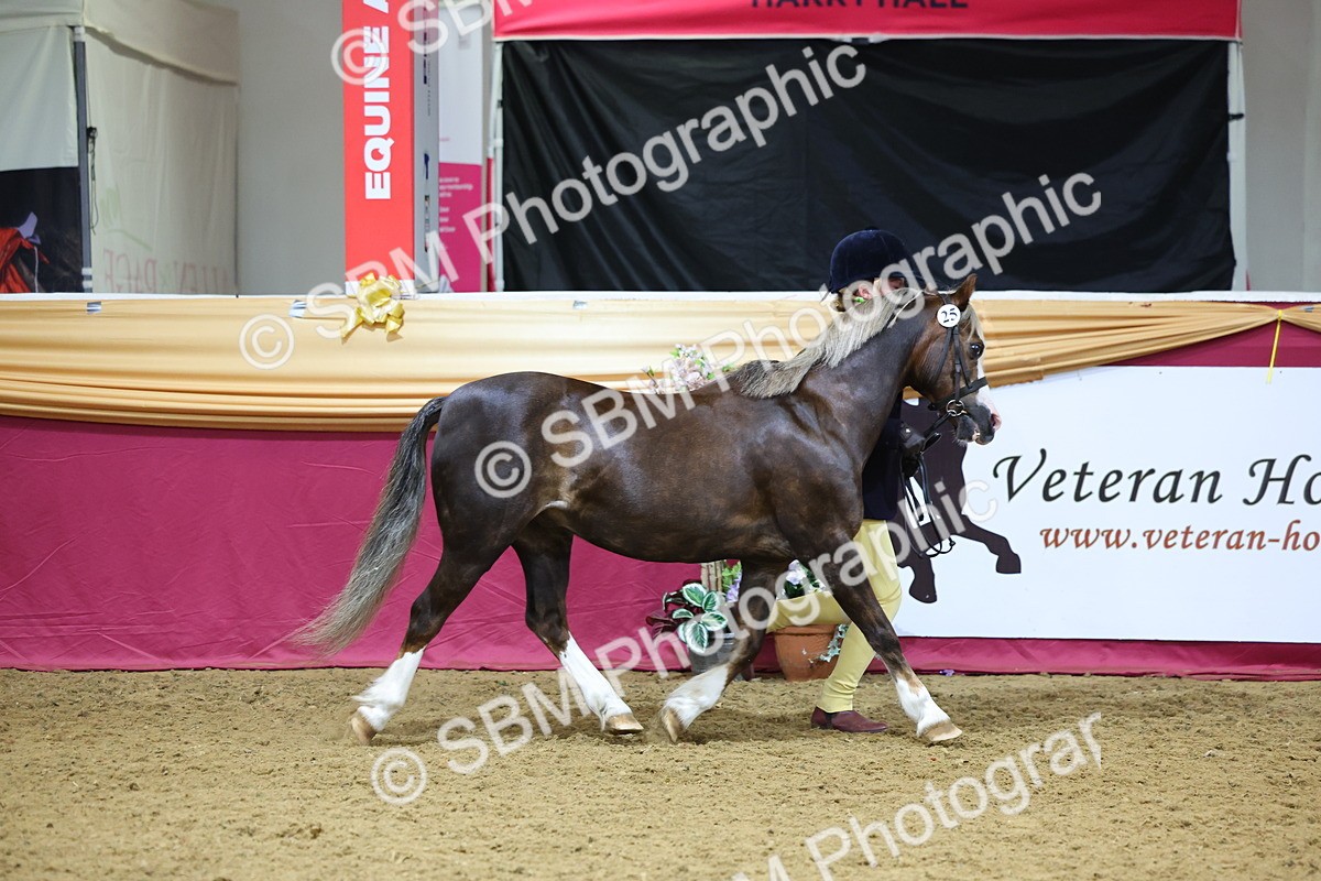 SBM_19394 - Class 901 - Supreme Final - IH Diamond